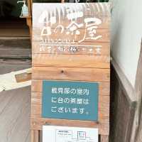 Dainochaya