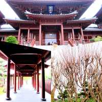 Chin Lin Nunnery A Tranquil Oasis of Buddhist Serenity 