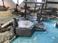 係水族館又係動物園♥️完美結合