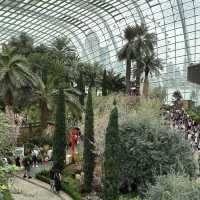 Flower Dome (GBTB) - Singapore