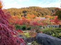 เที่ยวใบไม้เปลี่ยนสี เกียวโต วัดเอกันโดเซ็นริน 🍁⛩️
