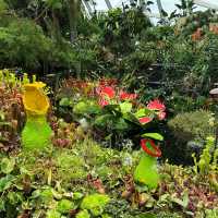 【シンガポール】近未来植物園ガーデンバイザベイ
