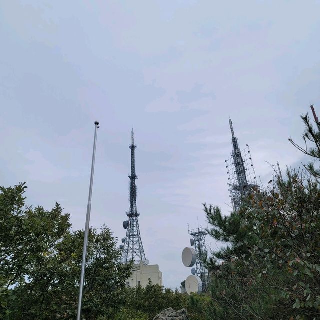 두근두근여름휴가 대전 식장산 정상