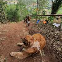 ภูซับเหล็ก ขึ้นเขาแค่ 400 เมตรแต่วิวหลักล้าน