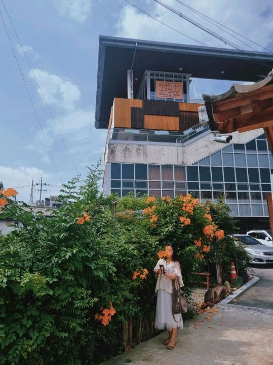 능소화 흐트러지게 핀 포토존