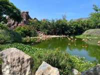 One day trip @VINPERAL LAND