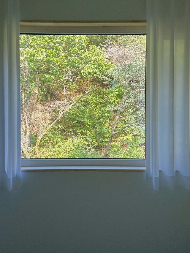 오롯이 우리만의 시간 속 힐링 가득한 춘천 펜션. 오늘의 우리 집🏠 