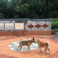 貴山客家文化公園