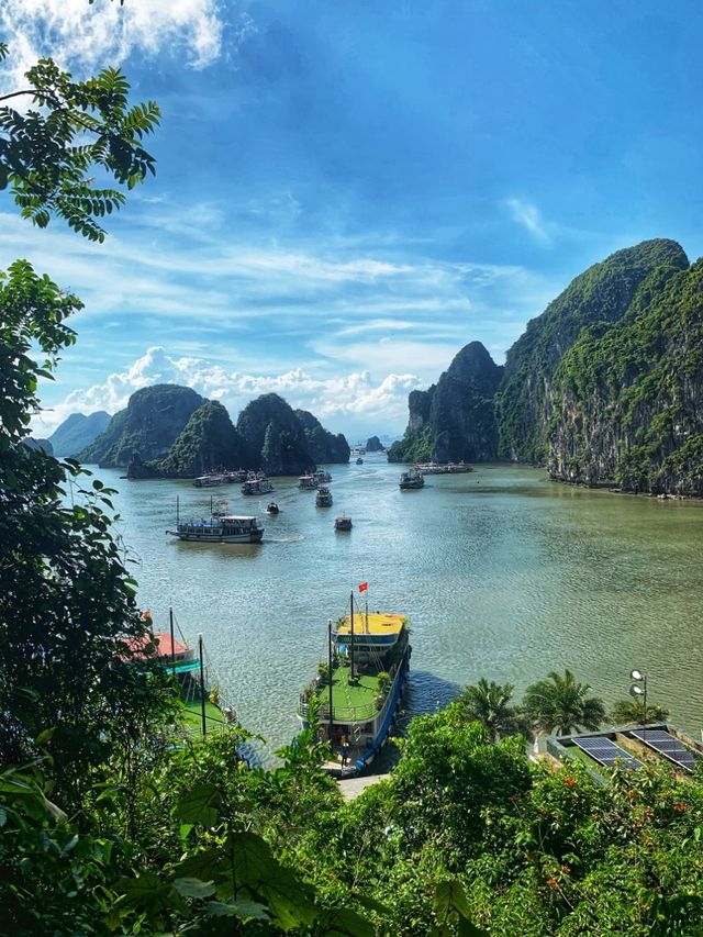 💙🇻🇳Surprising Cave in Halong bay🇻🇳💙