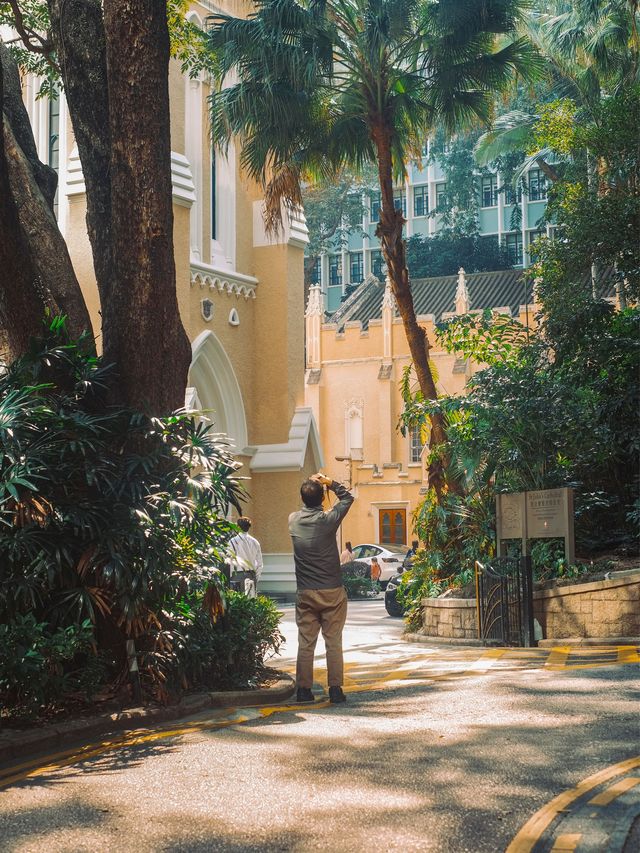 香港 | 中環鬧市裡的百年教堂⛪️
