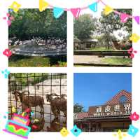 動物天堂！探索頑皮世界野生動物園的奇妙之旅！🐾🌿🦁