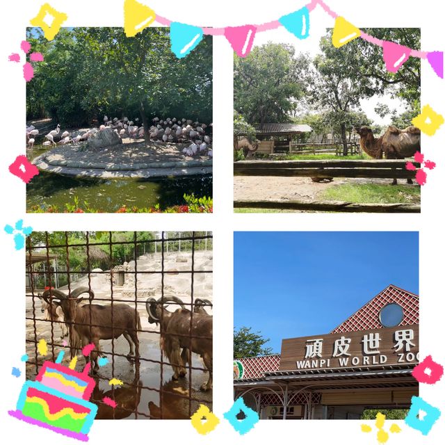 動物天堂！探索頑皮世界野生動物園的奇妙之旅！🐾🌿🦁