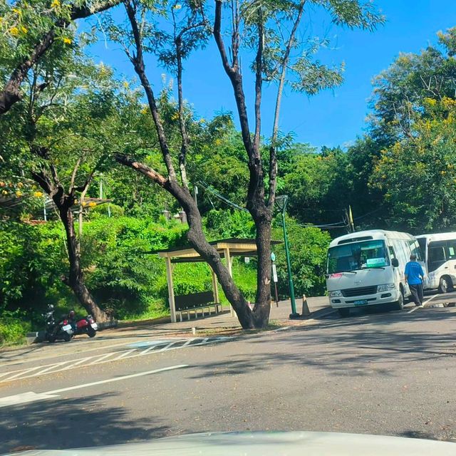 岡山之眼登高遠眺水庫美景
