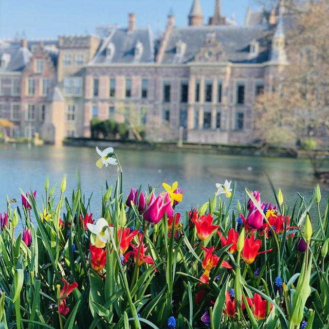 荷蘭海牙🇳🇱天氣晴散步去☀️👣 Hofvijver