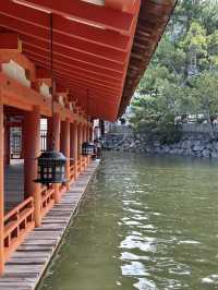 神聖的海上之旅⛩️⛩️🌊 嚴島神社