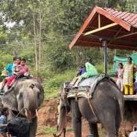PARADISE OF KERALA