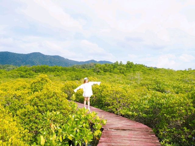 🌿 พาเดินชมเส้นทางธรรมชาติป่าโกงกาง