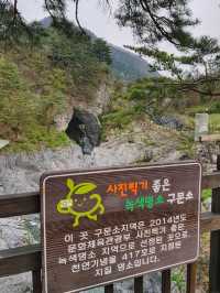 태백여행가면 들려보기 좋은곳❄️