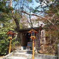 朝聖富士山第一景 淺間公園(part1)