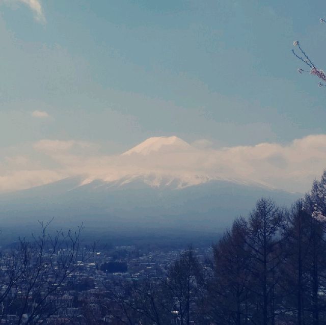 朝聖富士山第一景 新倉山淺間公園(part2)
