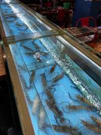 充滿用餐氣氛🙌🏻🙌🏻