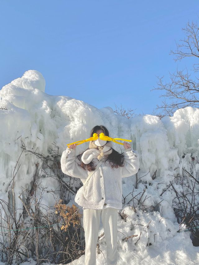 경남인도 눈이 보고싶었어요…