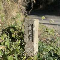 🇯🇵福岡糟屋新宮相島 超萌貓貓絕美景色🐈
