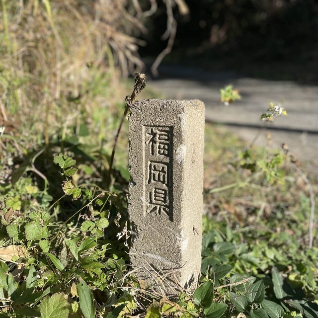 🇯🇵福岡糟屋新宮相島 超萌貓貓絕美景色🐈