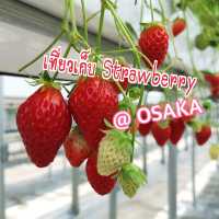 Grandberry Farm Osaka
