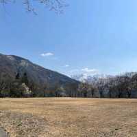 Japanese real life folk village