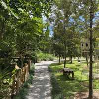 RIRI TEAHOUSE ....Chiangrai 