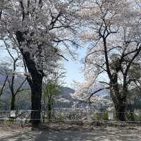 日本世界文化遺產之一 白川鄉