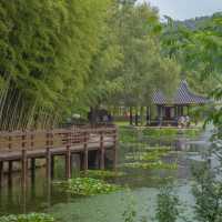 담양의 자랑 “죽녹원”🎋