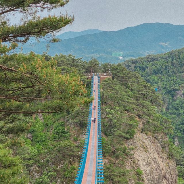 높은 곳을 좋아한다면 가볼만한 곳⛰️