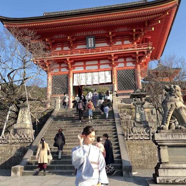 疫情的大阪—成功令朋友愛上日本
