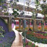 A Crowd Pleaser: Cameron Highlands Flora Park