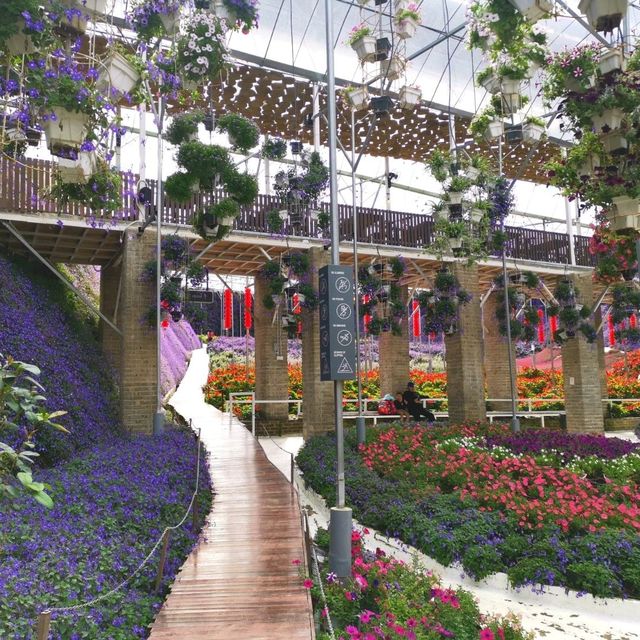 A Crowd Pleaser: Cameron Highlands Flora Park