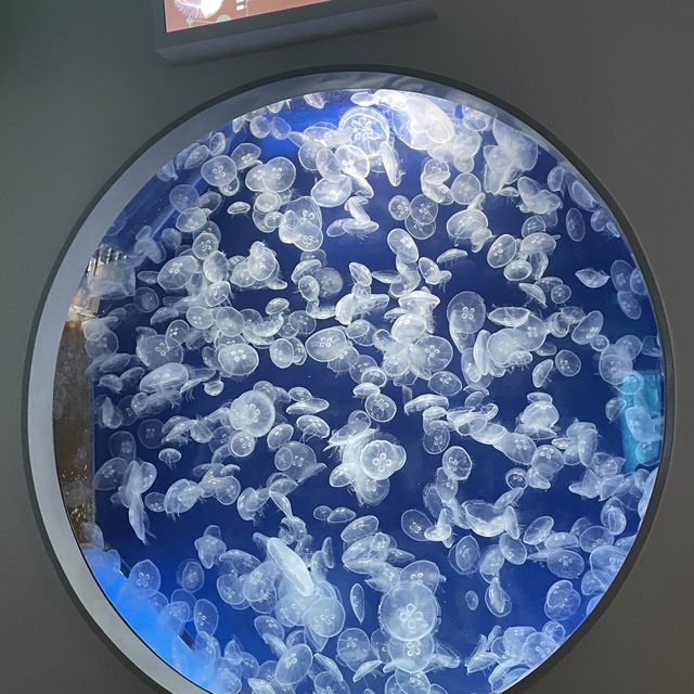 Xpark水族館