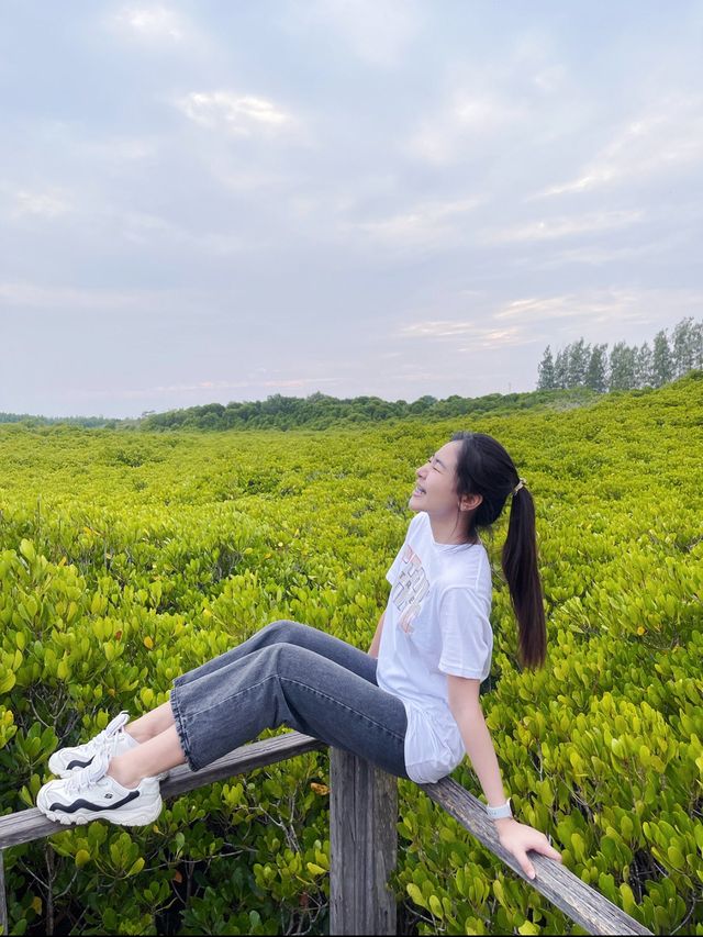 ไปชมพระอาทิตย์ตกที่ทุ่งโปรงทองกัน🌥️