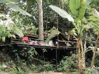 The Hidden Falls ในสวนลับ ลานกางเต็นท์ริมลำธาร🌿