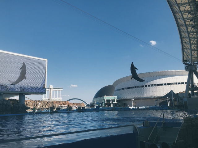 【名古屋・港区】日本最大級❗️海の生き物について学べる場所🐬