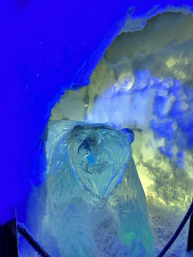 Enjoy your drink in minus 15 degrees celsius 🥶🍻❄️