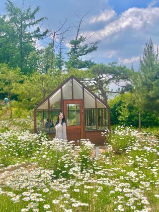 There is a pretty Daisy Cafe in Cheonan💛🤍💛