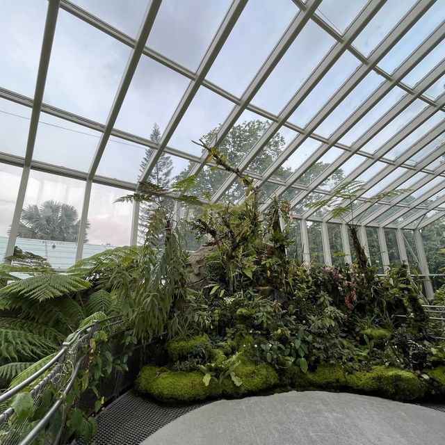 A treat to the senses@National Orchid Garden