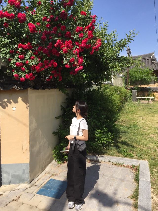 경주 황리단길 추천코스🍽️👩🏻‍❤️‍👨🏻🏯