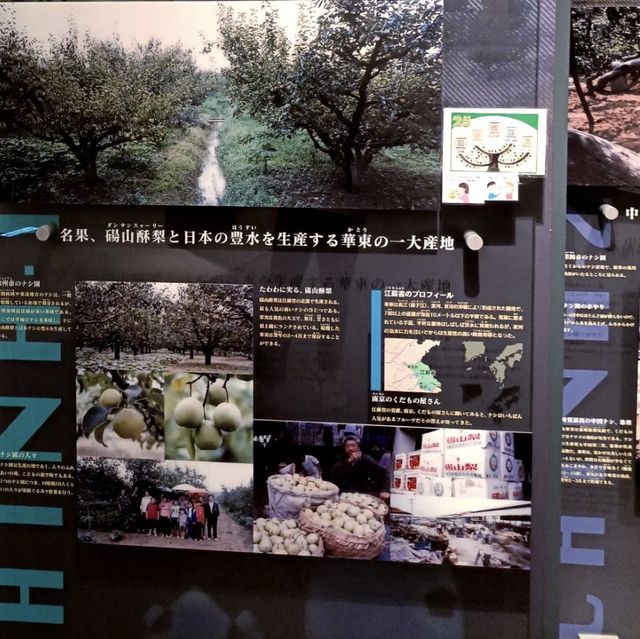 品味梨的奇妙！鳥取二十世紀梨紀念館🍐🏛️🍦