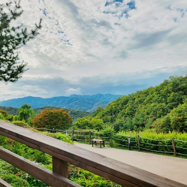 폐채석장이 자연과 예술이 함께하는 힐링의 명소로🏞