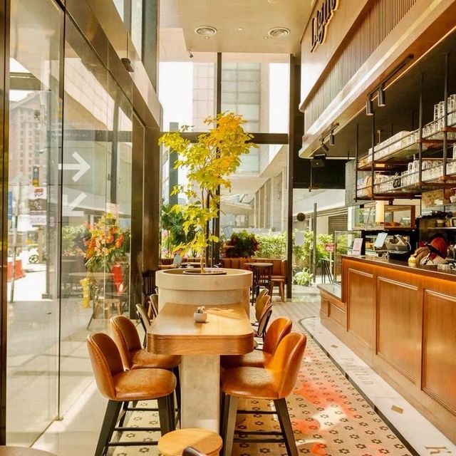 Light Capture Cafe