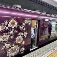 【奈良】古の都をつなぐ観光列車！特急あをによしに乗ってみた