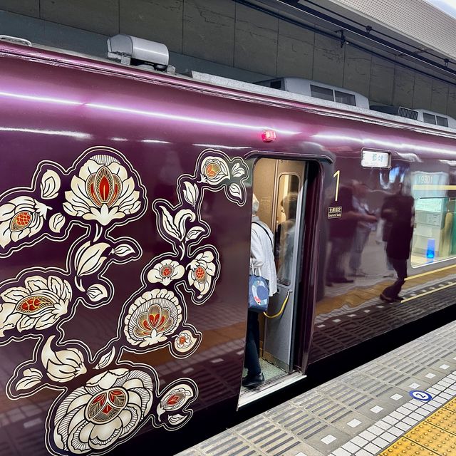 【奈良】古の都をつなぐ観光列車！特急あをによしに乗ってみた